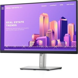 Dell 24'' Monitor - P2422H